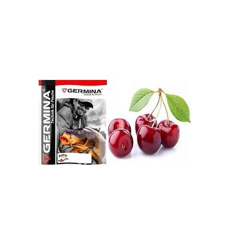 ZANĘTA GERMINA WIŚNIA 1KG